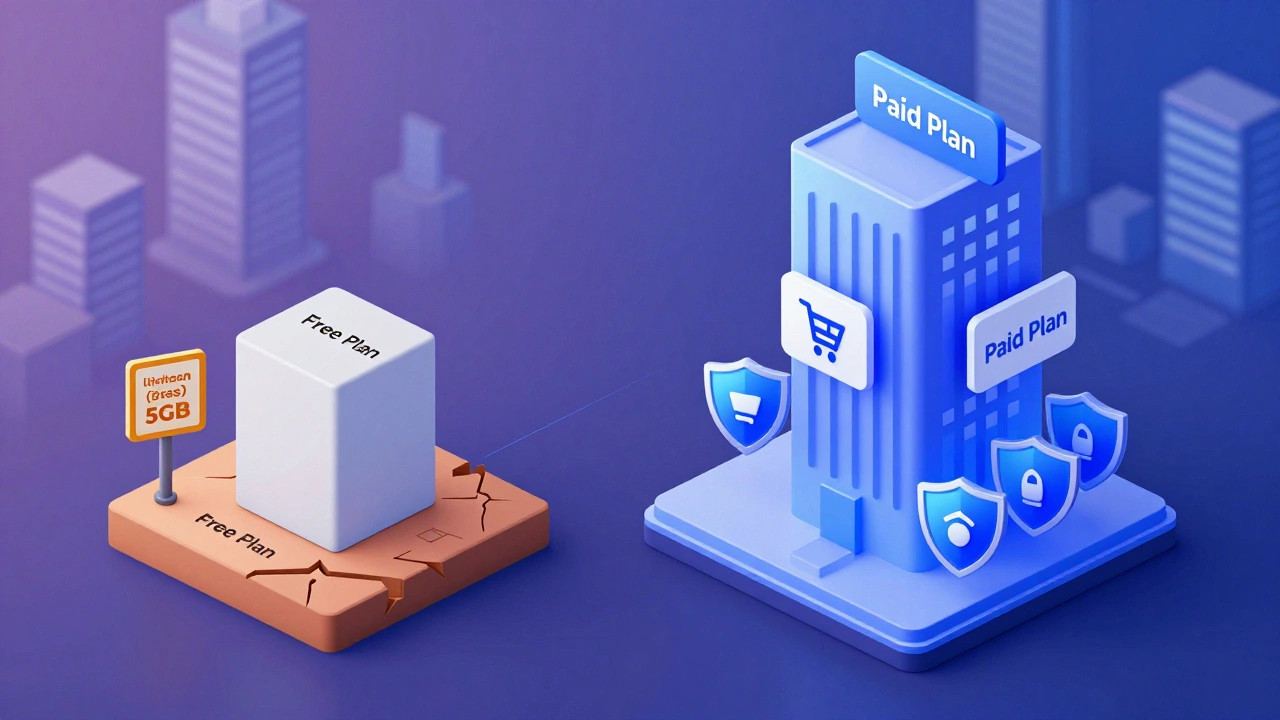 3D comparison graphic of limited free plan vs professional paid website